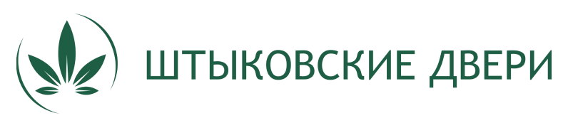 Лого кампании Штыковские двери